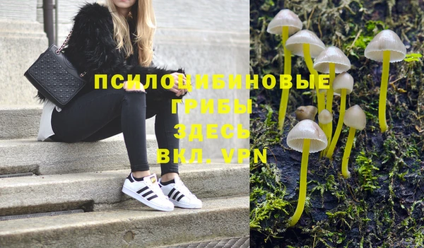 дживик Алексин