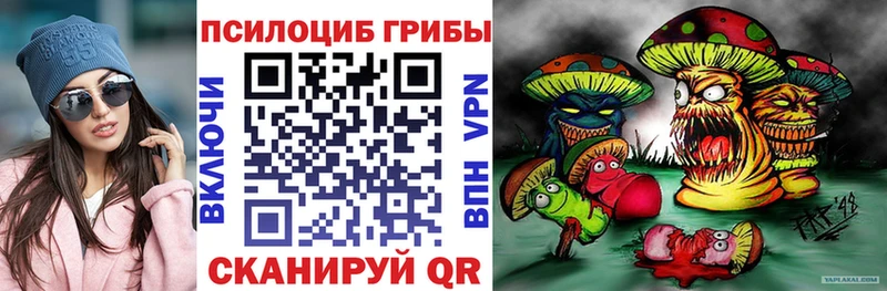 Псилоцибиновые грибы Magic Shrooms где купить наркотик Буй