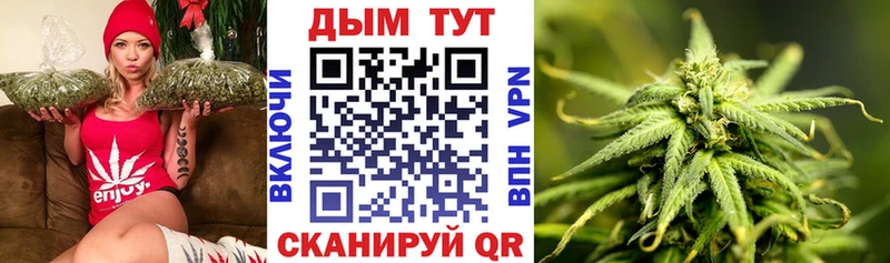 Бошки Шишки гибрид  дарнет шоп  Буй 